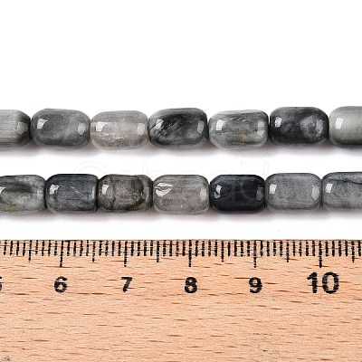 Natural Eagle Eye Stone Beads Strands G-G980-43-1