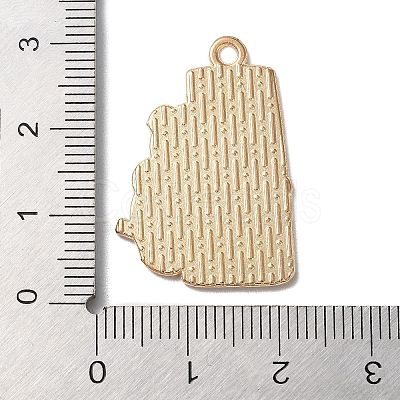 Golden Plated Alloy Enamel Pendants ENAM-Q504-03G-01-1