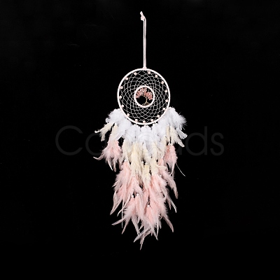 Iron Woven Web/Net with Feather Pendant Decorations AJEW-B017-08-1