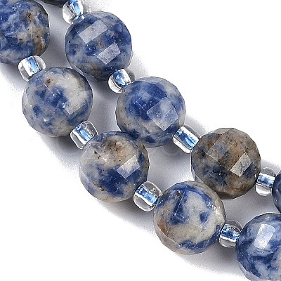 Natural Blue Spot Jasper Beads Strands G-G182-B31-03-1