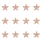 SUPERFINDINGS 12Pcs Star Brooch Pin, Alloy Rhinestone Badge for Backpack Clothes, Rose Gold, 20.5x21x3mm