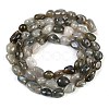 Natural Labradorite Beads Strands G-P497-01B-03-3