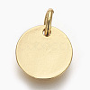 Brass Enamel Charms ZIRC-E152-31G-RS-2