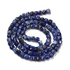 Natural Sodalite Beads Strands G-H042-A08-02-3