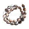 Natural Sea Shell Beads Strands SHEL-K006-39-2