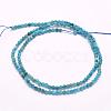 Natural Apatite Beads Strands G-F509-17-3mm-2