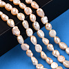 Natural Cultured Freshwater Pearl Beads Strands PEAR-N014-05J-2