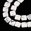 Natural Howlite Beads Strands G-T138-157-3