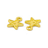 Rack Plating Alloy Charms FIND-G045-51MG-2