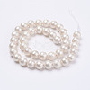 Wrinkle Textured Shell Pearl Beads Strands BSHE-F013-02-6mm-2