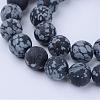 Natural Snowflake Obsidian Beads Strands G-Q462-8mm-10-1