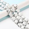 Natural Howlite Beads Strands G-NH0005-006-2