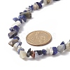 Natural Sodalite Chip Beaded Necklaces with 304 Stainless Steel Lobster Claw Clasp & Chain Extender NJEW-JN04225-02-2