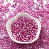 Glass Seed Beads SEED-M011-01A-21-2