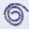 Natural Blue Spot Jasper Beads Strands G-D855-10-8mm-2