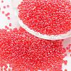6/0 Glass Seed Beads X-SEED-J012-F6-105-1