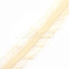 Chinlon Elastic Lace Trim EW-WH0013-18A-1