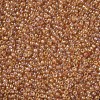 Goldenrod 12/0 Grade A Round Glass Seed Beads X-SEED-Q010-F531-2