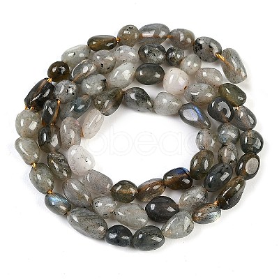 Natural Labradorite Beads Strands G-P497-01B-03-1