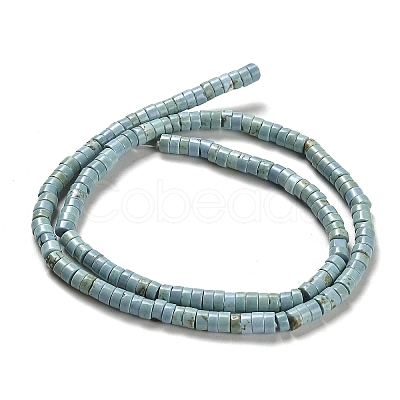 Natural Turquoise Beads Strands G-M422-C01-01-1