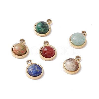 Natural Mixed Stone Charms STAS-H168-01G-1