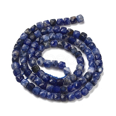 Natural Sodalite Beads Strands G-H042-A08-02-1