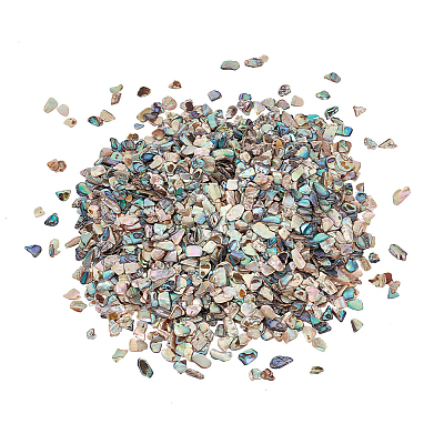 AHADERMAKER 1 Bags Abalone Shell Flakes Cabochons SHEL-GA0001-17A-1