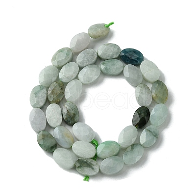 Natural Myanmar Jadeite Beads Strands G-A092-E01-01-1