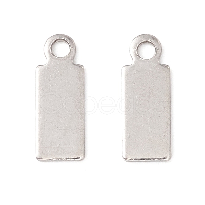 Non-Tarnish 304 Stainless Steel Charms STAS-P307-15A-P-1