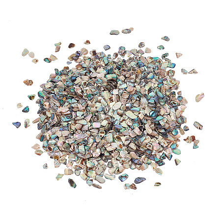 AHADERMAKER 1 Bags Abalone Shell Flakes Cabochons SHEL-GA0001-17A-1