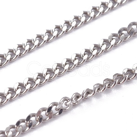304 Stainless Steel Curb Chains STAS-I107-15P-1