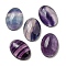 Natural Fluorite Cabochons, Oval, 18x13x5~5.5mm