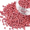 Glass Seed Beads SEED-A012-3mm-125-1