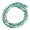 Natural Amazonite Beads Strands G-H064-C01-01-3