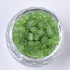 6/0 Transparent Glass Seed Beads SEED-S027-04B-11-2