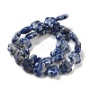 Natural Blue Spot Jasper Beads Strands G-F769-D01-01-3