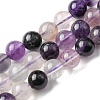 Natural Fluorite Beads Strands G-E598-02B-1