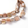 Erose Natural Shell Beads Strands X-PBB071Y-3