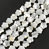 Natural White Shell Beads Strands SHEL-F003-07-2