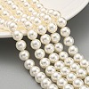 Glass Pearl Beads Strands X-HY-G002-01D-02-2