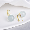 Brass with Resin Round Hoop Earrings EJEW-Q391-09G-02-1