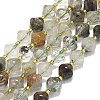 Natural Lodolite Quartz Beads Strands G-I376-C14-01-1