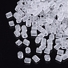 8/0 Two Cut Glass Seed Beads SEED-S033-12A-01-2