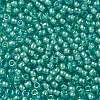 TOHO Round Seed Beads X-SEED-TR08-0954-2