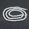 Natural Rainbow Moonstone Beads Strands G-P342-02B-4mm-AB+-2