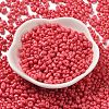 Baking Paint Glass Seed Beads SEED-K009-01A-18-2