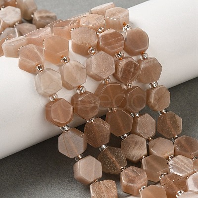 Natural Sunstone Beads Strands G-P534-A09-02-1