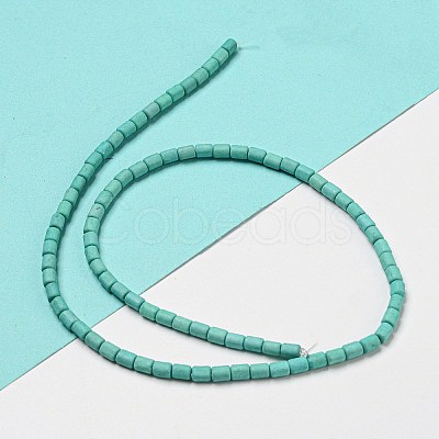 Dyed Synthetic Turquoise Beads Strands G-G075-A02-01-1