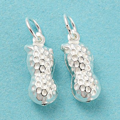 925 Sterling Silver Pendants STER-B002-10S-1