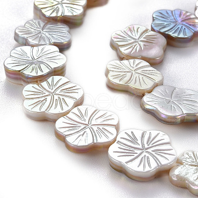 Electroplated Natural Freshwater Shell Beads Strands X-SHEL-N026-164-1